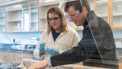 Exploring Active Granular Media